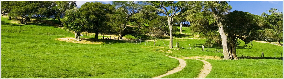 5835398-paths-and-woods-this-is-a-grassland-and-forest-very-beautiful