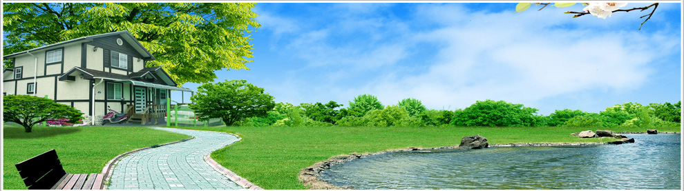 home_peace-wide