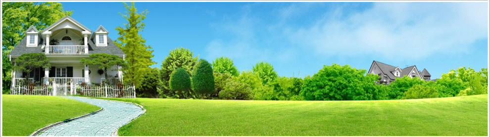 way-to-green-home-background